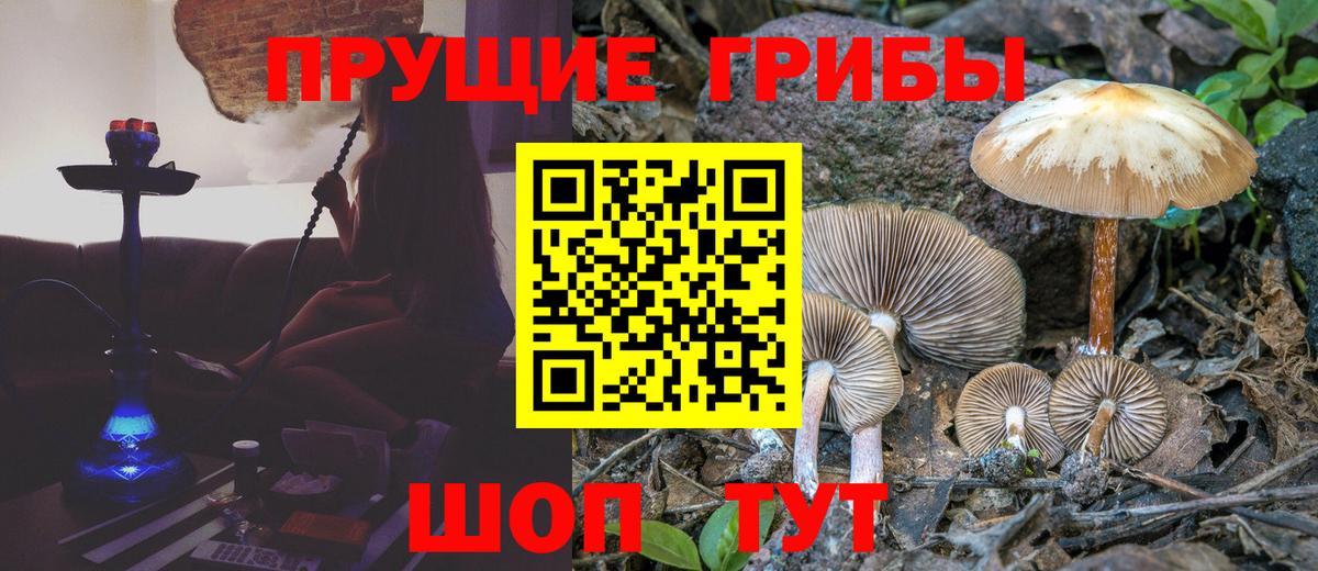 Галлюциногенные грибы Magic Shrooms Комсомольск-на-Амуре