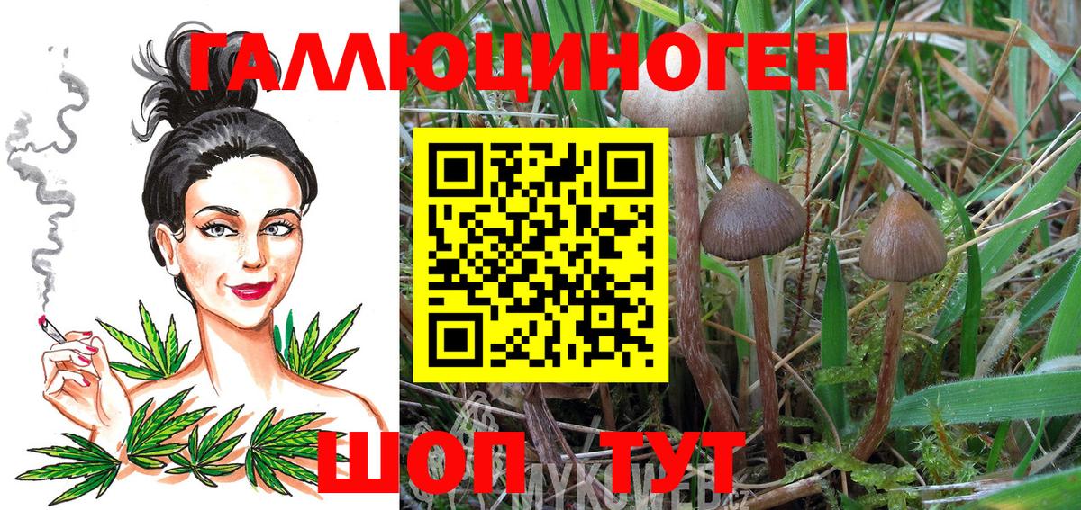 Галлюциногенные грибы ЛСД  Вход с VPN  Галлюциногенные грибы Psilocybe  Комсомольск-на-Амуре 